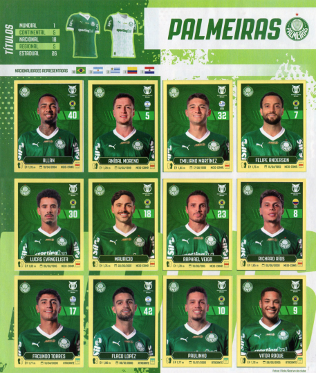 Página interna Brasileirão