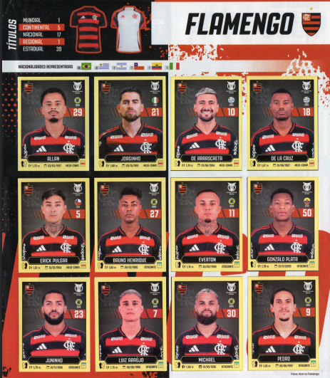 Página interna Brasileirão