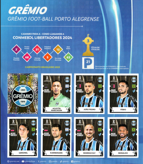 Página interna Libertadores