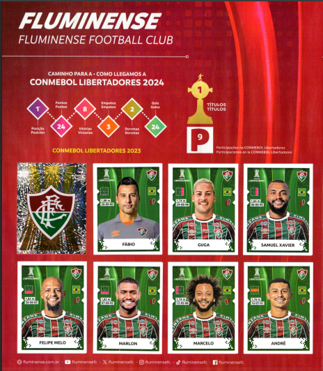 Página interna Libertadores