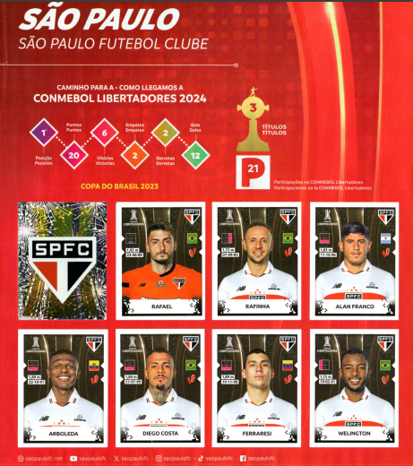 Página interna Libertadores