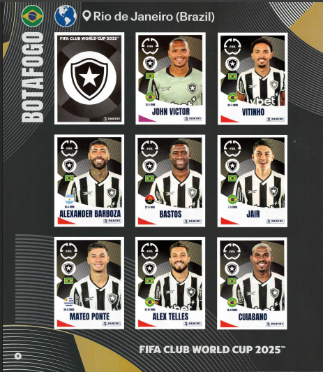 Página interna Libertadores